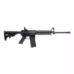 Smith & Wesson M&P-15 10202