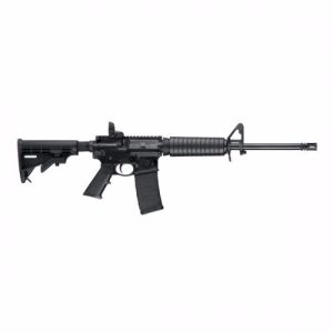 Smith & Wesson M&P-15 10202