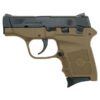 Smith and Wesson Bodyguard FDE Pistol