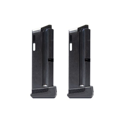 Ruger LcpII 22lr 10 round 2 pack Magazines
