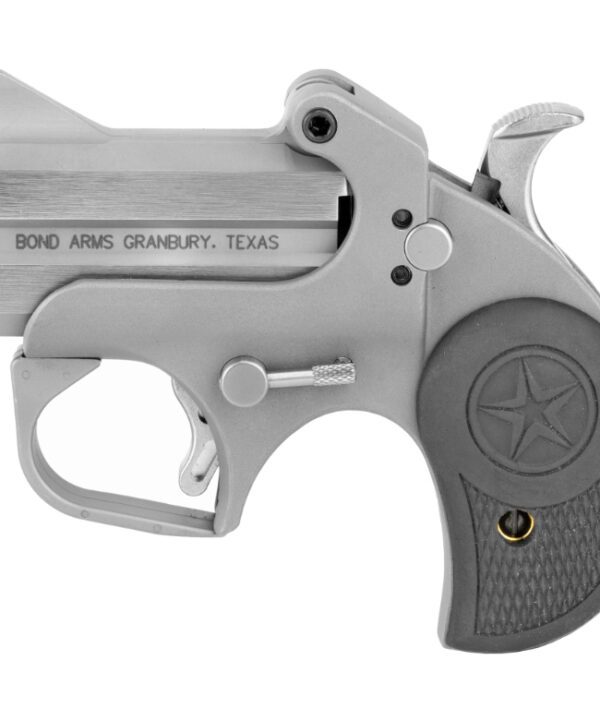 Bond Arms Roughneck .45 ACP 2.5