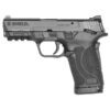 Smith & Wesson M&P30SC Shield EZ 3.6" 10 Round Pistol