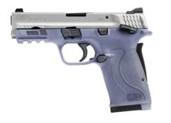 Smith & Wesson M&P380 Shield EZ .380 ACP 3.675 Inch 8+1 Rounds pistol