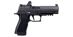 SIG Sauer P320 Full Pro RXP 9mm ROMEO1Pro 17 Round Pistol