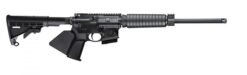 SW M&P15 SPORTII OR 5.56 10 CA